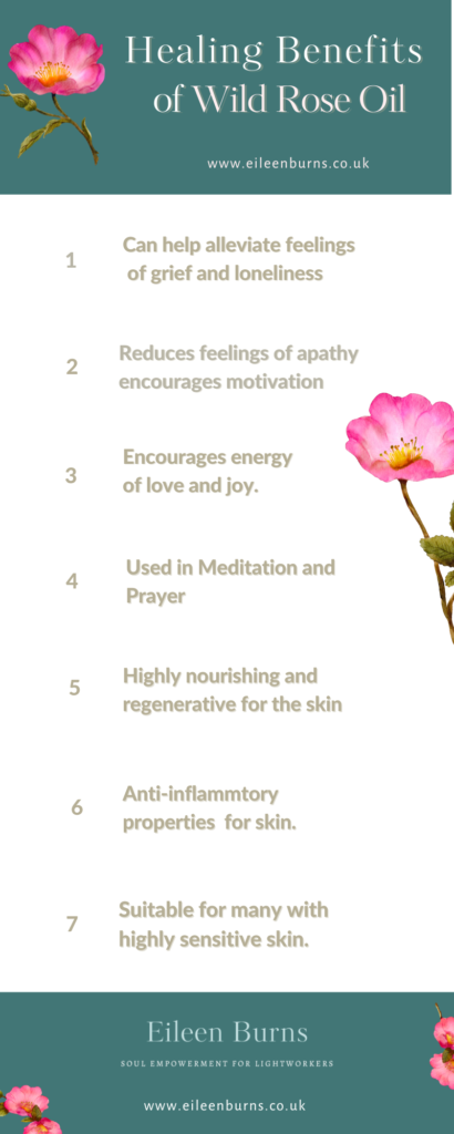 Healing Benefits Of Wild Rose Essential Oil