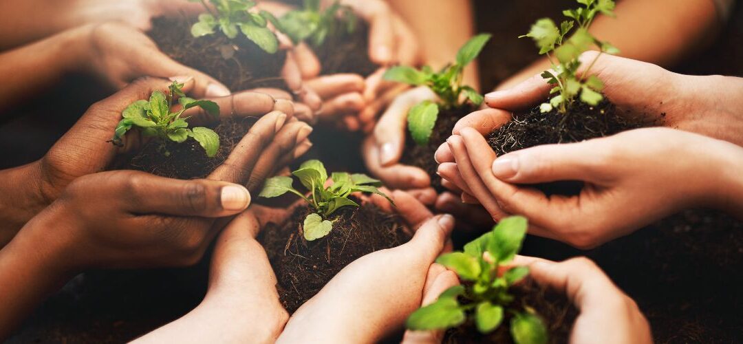 8 Top Tips To Co-Creating The New Earth Together