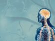 Why Nervous System Dysregulation Is Not Always Psychological Or Emotional - The other causes most therapists aren't talking about