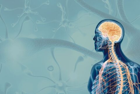 Why Nervous System Dysregulation Is Not Always Psychological Or Emotional - The other causes most therapists aren't talking about