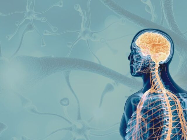 Why Nervous System Dysregulation Is Not Always Psychological Or Emotional - The other causes most therapists aren't talking about